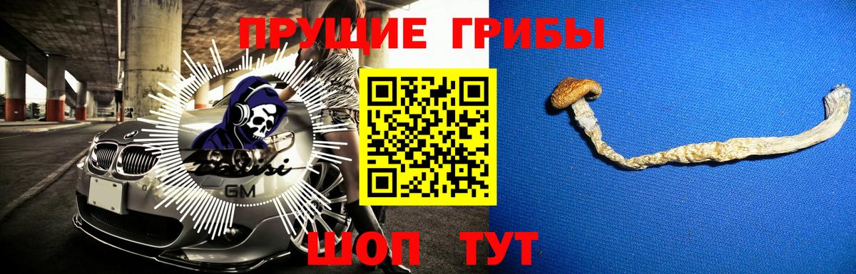Лениногорск  Псилоцибиновые грибы Psilocybe  Вход с VPN 