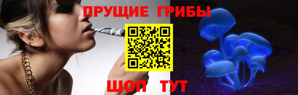 Псилоцибиновые грибы Psilocybine cubensis Лениногорск